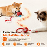 Automatic Rolling Ball Toy for Dogs, Rechargeable with 3 Modes