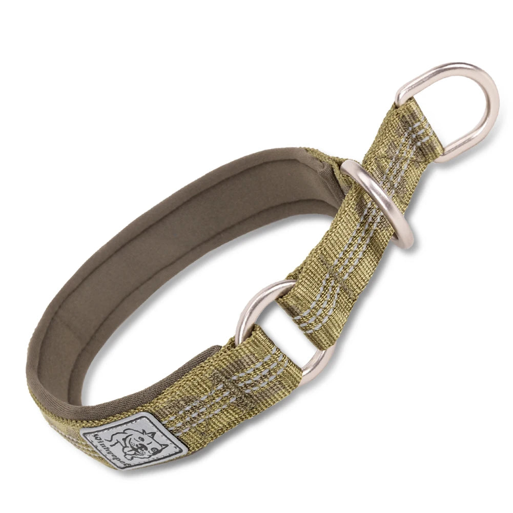 Padded Half Check Dog Collar with P Chain, Reflective Nylon