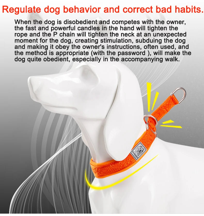 Padded Martingale Dog Collar, Reflective Nylon for Training