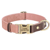 Custom Engraved Buckle Dog Collar with Name and Phone Number