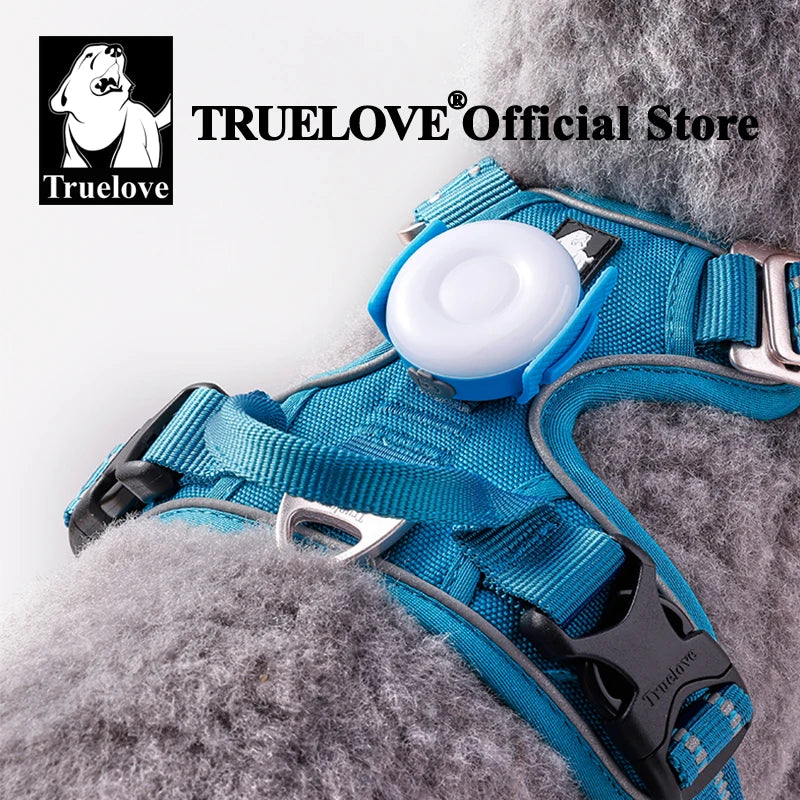 Rechargeable LED Dog Collar Light, 3 Modes, IP65 Rated