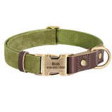 Custom Engraved Buckle Dog Collar with Name and Phone Number