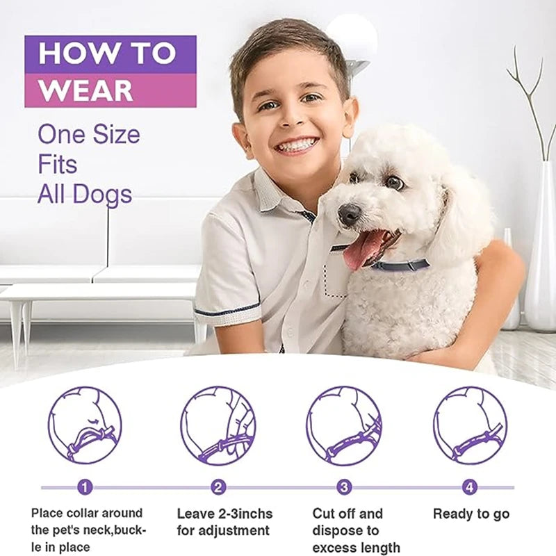 Dog Calming Collar Multi-Pack, 3 or 4 Adjustable Collars