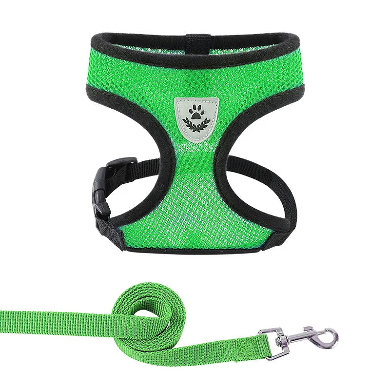 Mesh Dog Harness and Leash Set for Small Dogs and Cats
