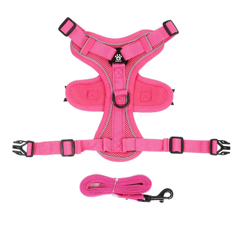 Reflective Dog Harness and Leash Set for Small Dogs