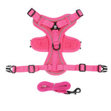 Reflective Dog Harness and Leash Set for Small Dogs