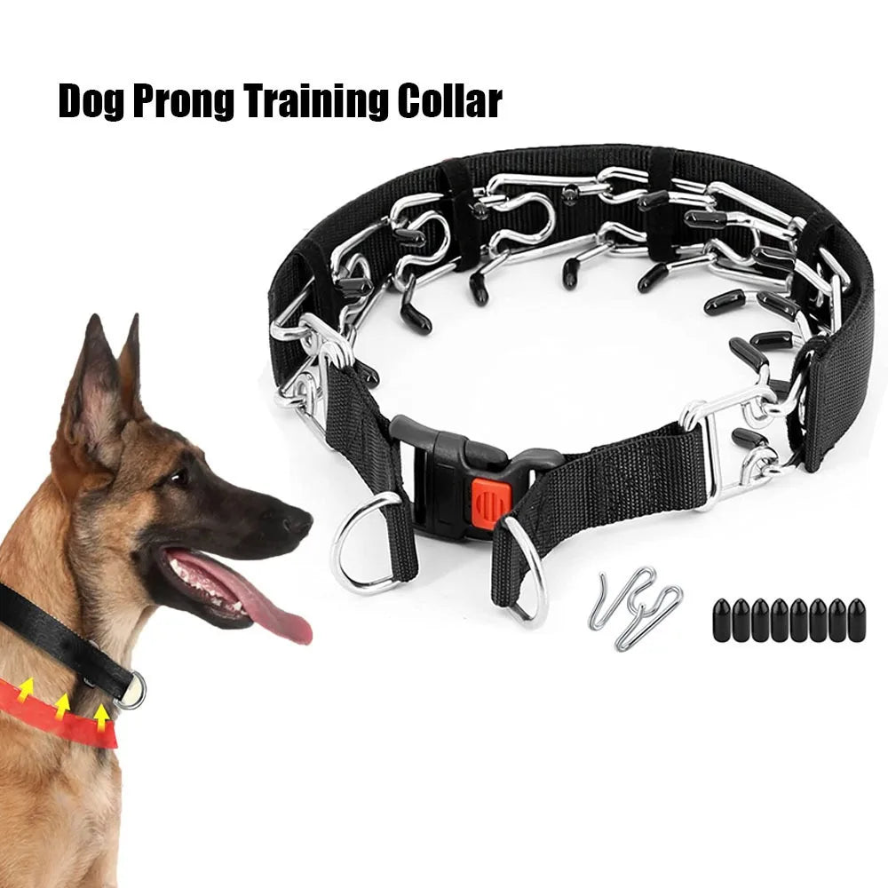Stainless Steel Prong Training Collar with Quick Release Buckle
