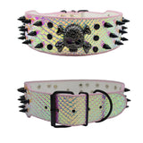 Spiked Skull Dog Collar in Leather for Medium and Large Dogs