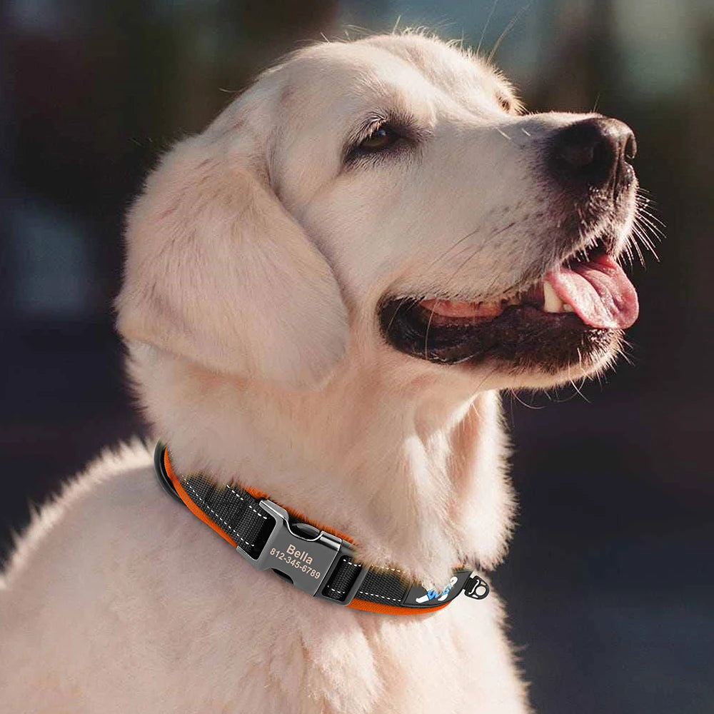 Custom Padded Nylon Dog Collar with Engraved Phone Number