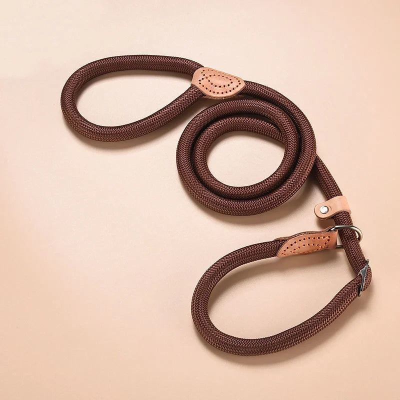 Braided Rope Slip Lead for Small and Medium Dogs