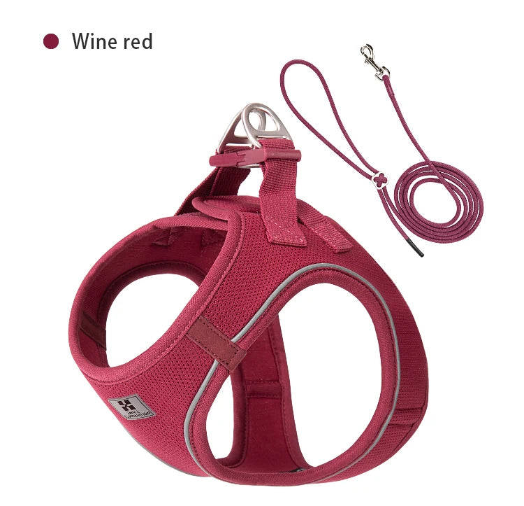 Step-In Dog Harness and Leash Set for Small Dogs and Cats