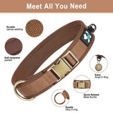 Padded Dog Collar with Quick Release Metal Buckle, S to XL
