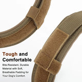 Tactical Dog Collar with Control Handle and AirTag Holder, M to XL