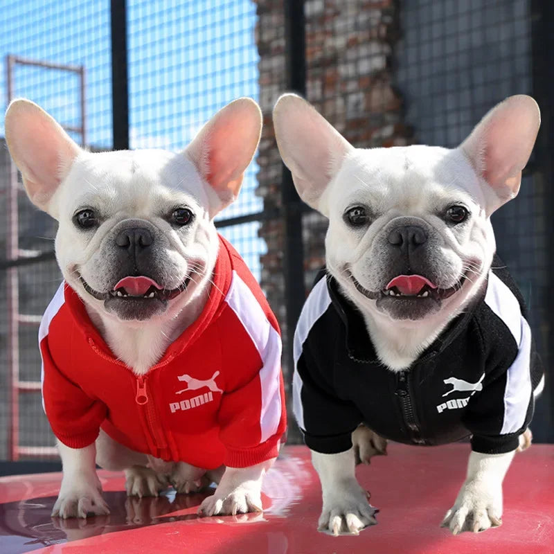 Dog Baseball Jacket for Fall and Winter