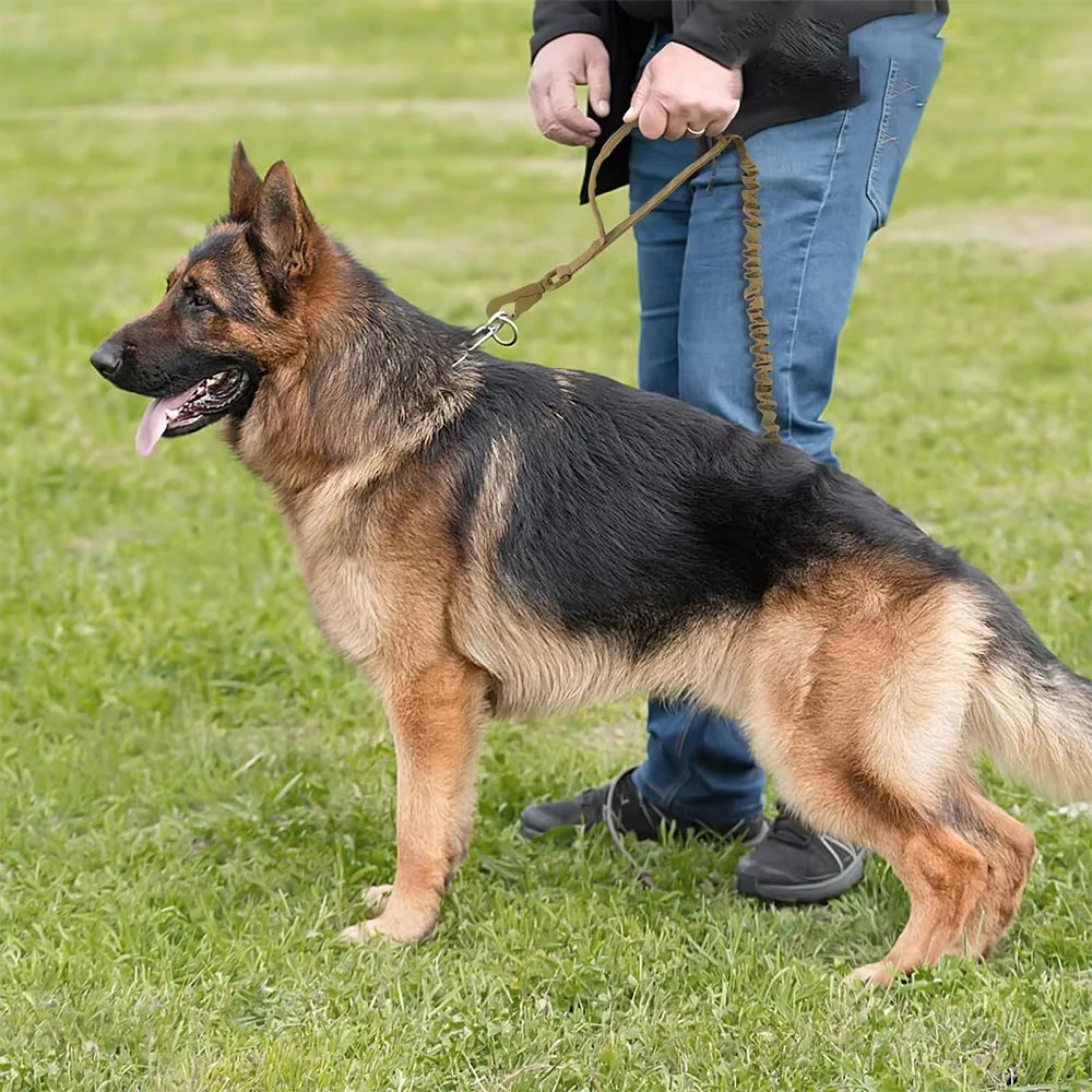 Two Handle Tactical Dog Leash with Shock Absorbing Bungee