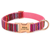 Personalized Nylon Dog Collar with Engraved Name and Metal Buckle