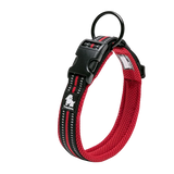 Soft Padded Dog Collar with Mesh Lining for Small to Large Dogs
