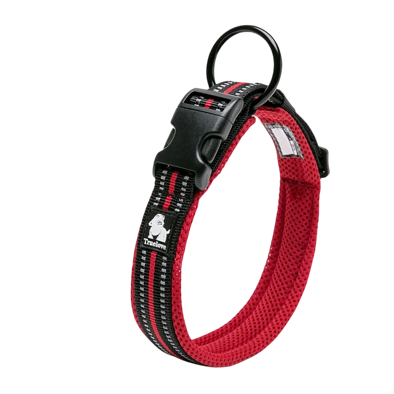 Soft Padded Dog Collar with Mesh Lining for Small to Large Dogs