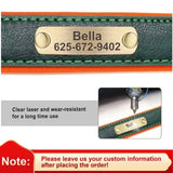 Personalized Padded Leather Dog Collar with Engraved Nameplate