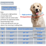Prong Training Collar with Quick Release Buckle, Stainless Steel