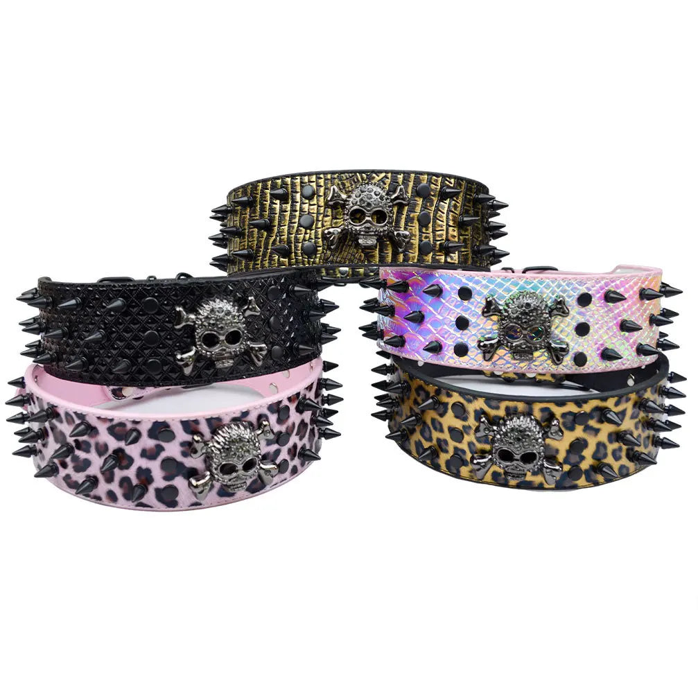 Spiked Skull Dog Collar in Leather for Medium and Large Dogs