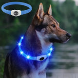 Rechargeable LED Dog Collar, Cut to Fit Small to Large Dogs