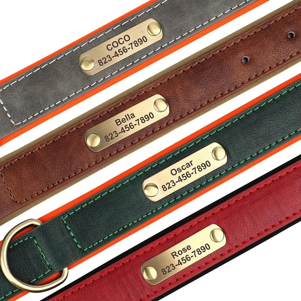 Personalized Leather Dog Collar with Engraved Nameplate ID Tag
