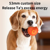 Smart Rolling Dog Ball That Moves on Its Own, USB Rechargeable