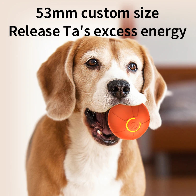 Smart Rolling Dog Ball That Moves on Its Own, USB Rechargeable