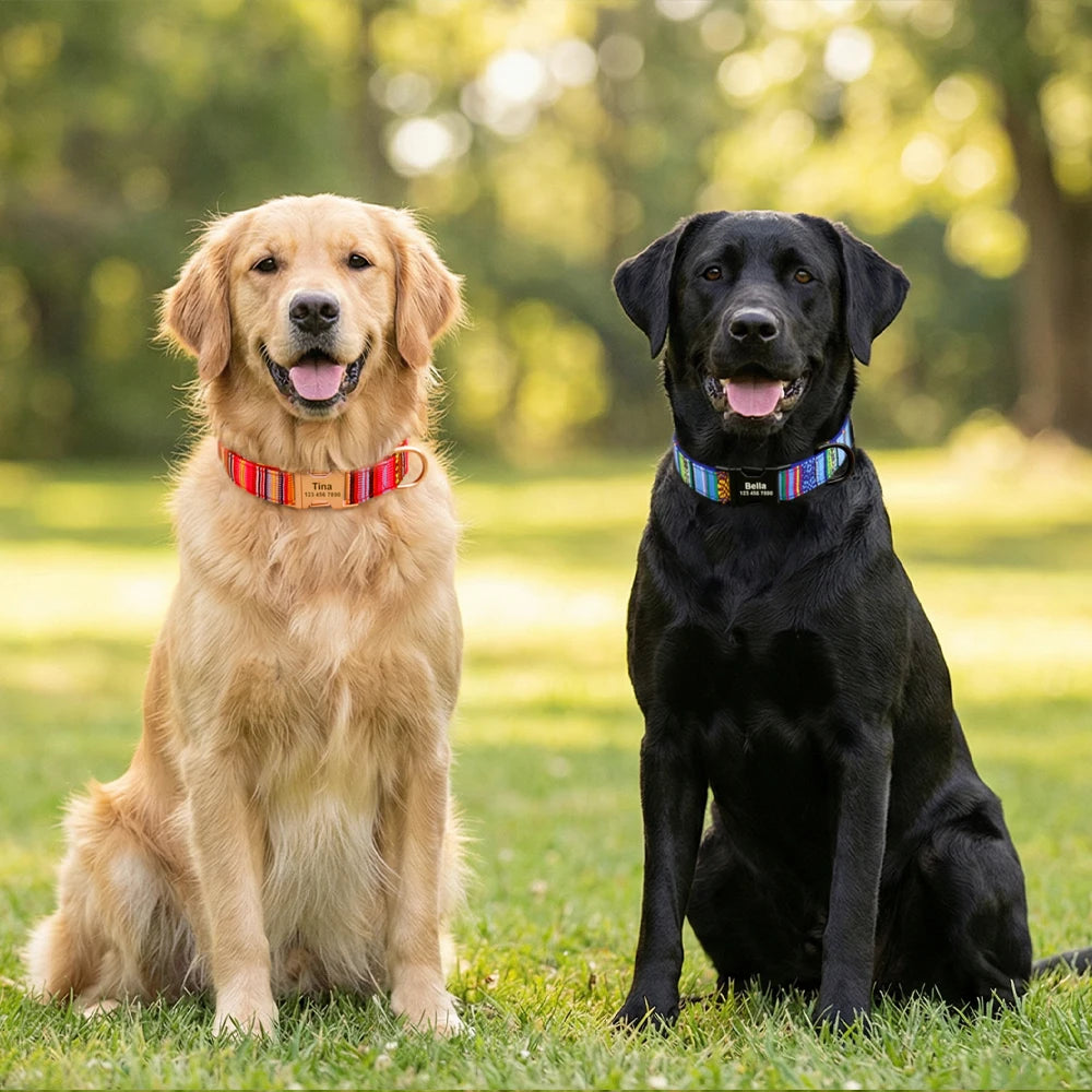 Personalized Nylon Dog Collar with Engraved Name and Metal Buckle