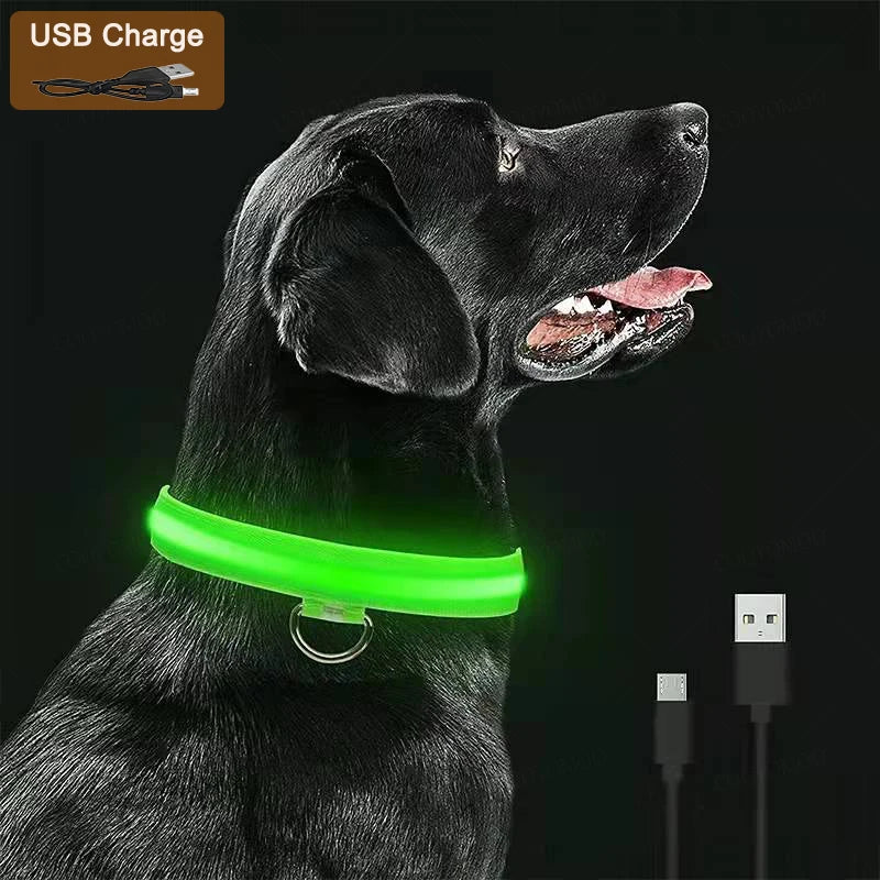 LED Dog Collar with 3 Light Modes, USB or Battery Powered