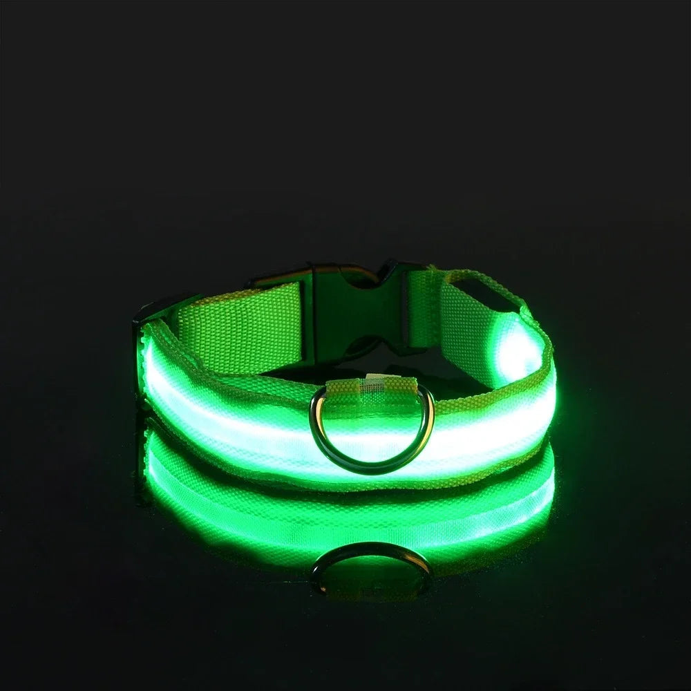 LED Light-Up Nylon Dog Collar with D-Ring and Buckle
