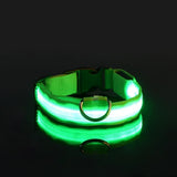 LED Light-Up Nylon Dog Collar with D-Ring and Buckle