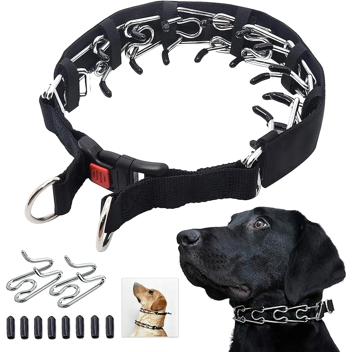 Prong Training Collar with Quick Release Buckle, Stainless Steel