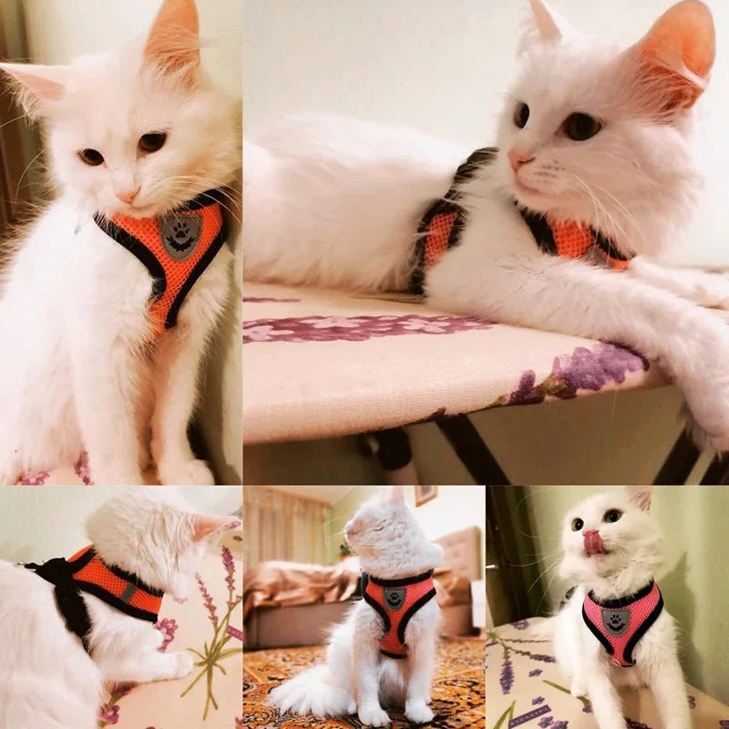 Mesh Dog Harness and Leash Set for Small Dogs and Cats