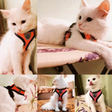 Mesh Dog Harness and Leash Set for Small Dogs and Cats