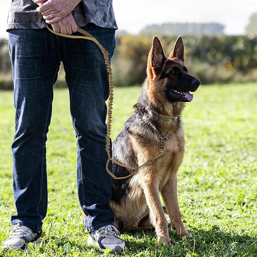 Two Handle Tactical Dog Leash with Shock Absorbing Bungee