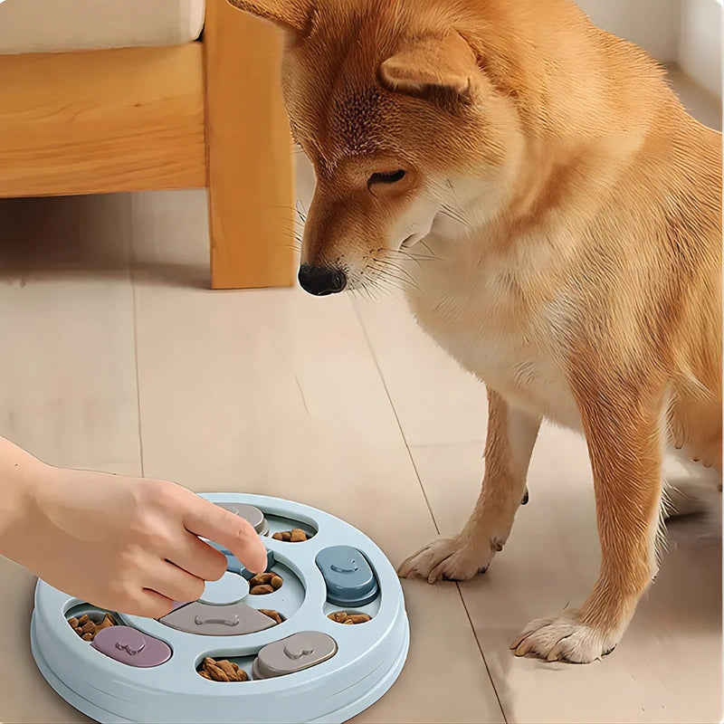 Dog Puzzle Feeder with Food Compartments, 9.4 in Round
