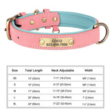 Personalized Leather Dog Collar with Engraved Nameplate ID Tag