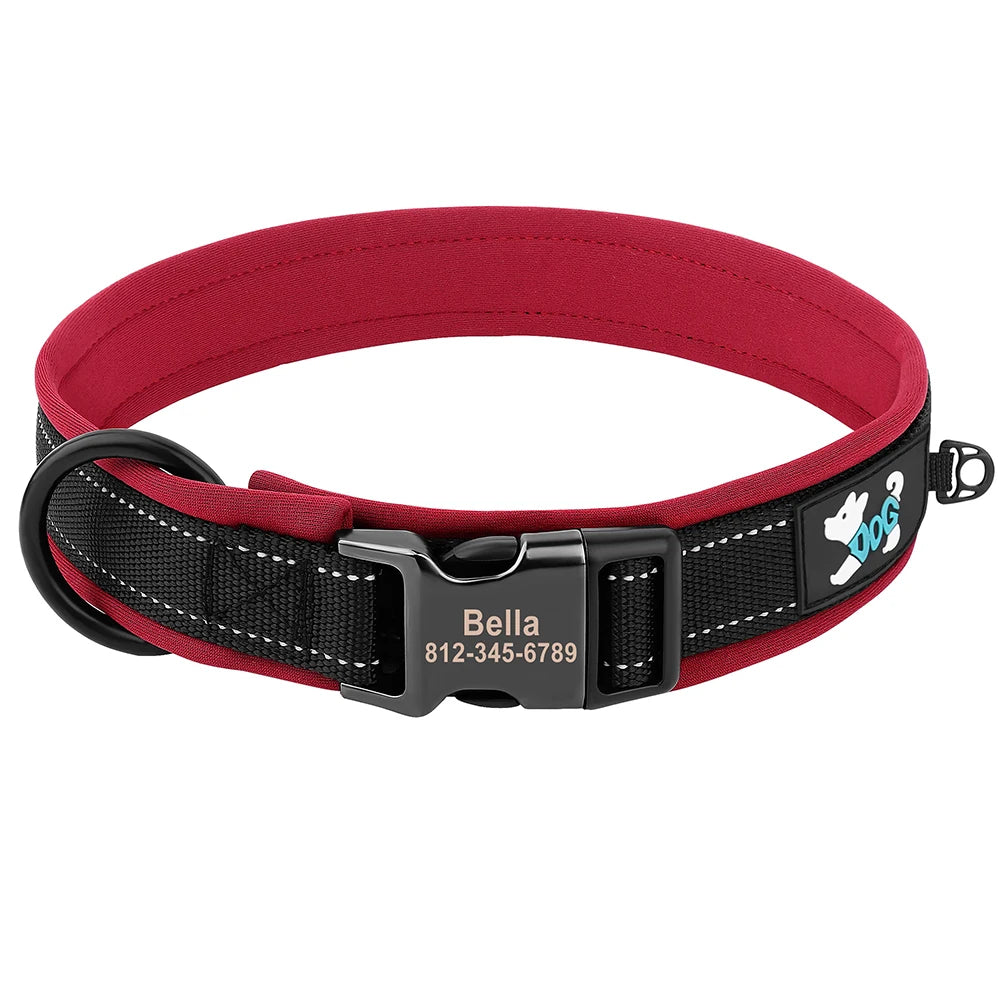 Personalized Dog Collar with Engraved Buckle, Reflective & Padded
