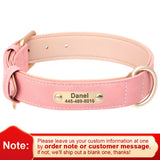 Personalized Leather Dog Collar with Engraved Nameplate, Pin Buckle