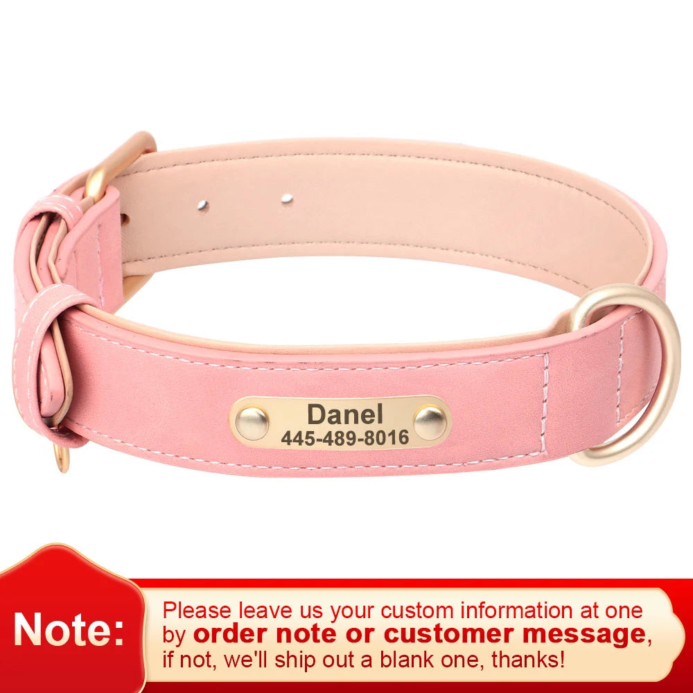 Personalized Leather Dog Collar with Engraved Nameplate, Pin Buckle