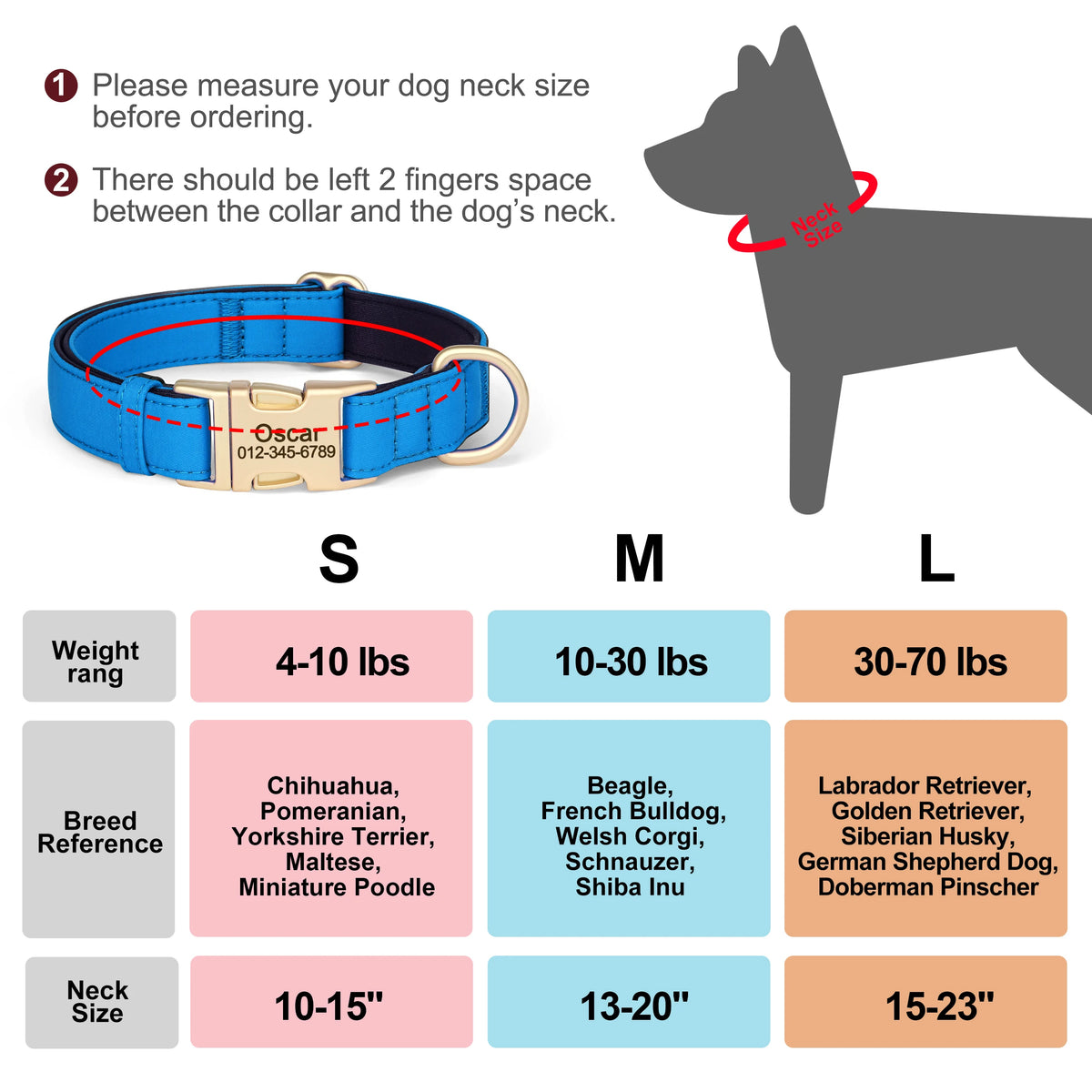 Personalized Padded Dog Collar with Engraved Gold Buckle