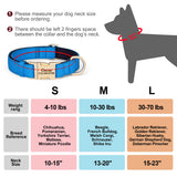 Personalized Padded Dog Collar with Engraved Gold Buckle