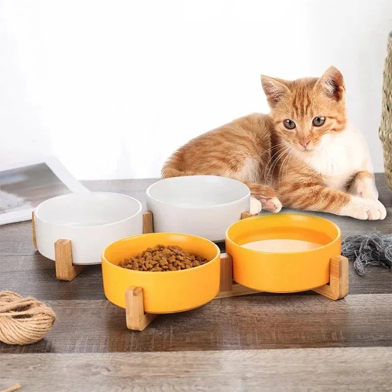 Elevated Ceramic Dog Bowl with Wood Stand