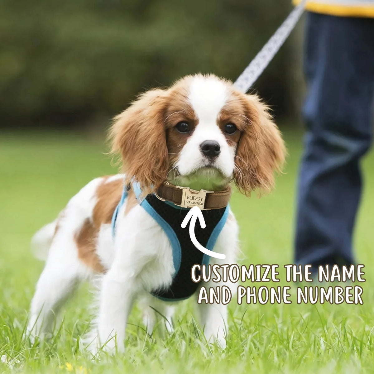 Personalized Velvet Dog Collar with Engraved Name ID Tag