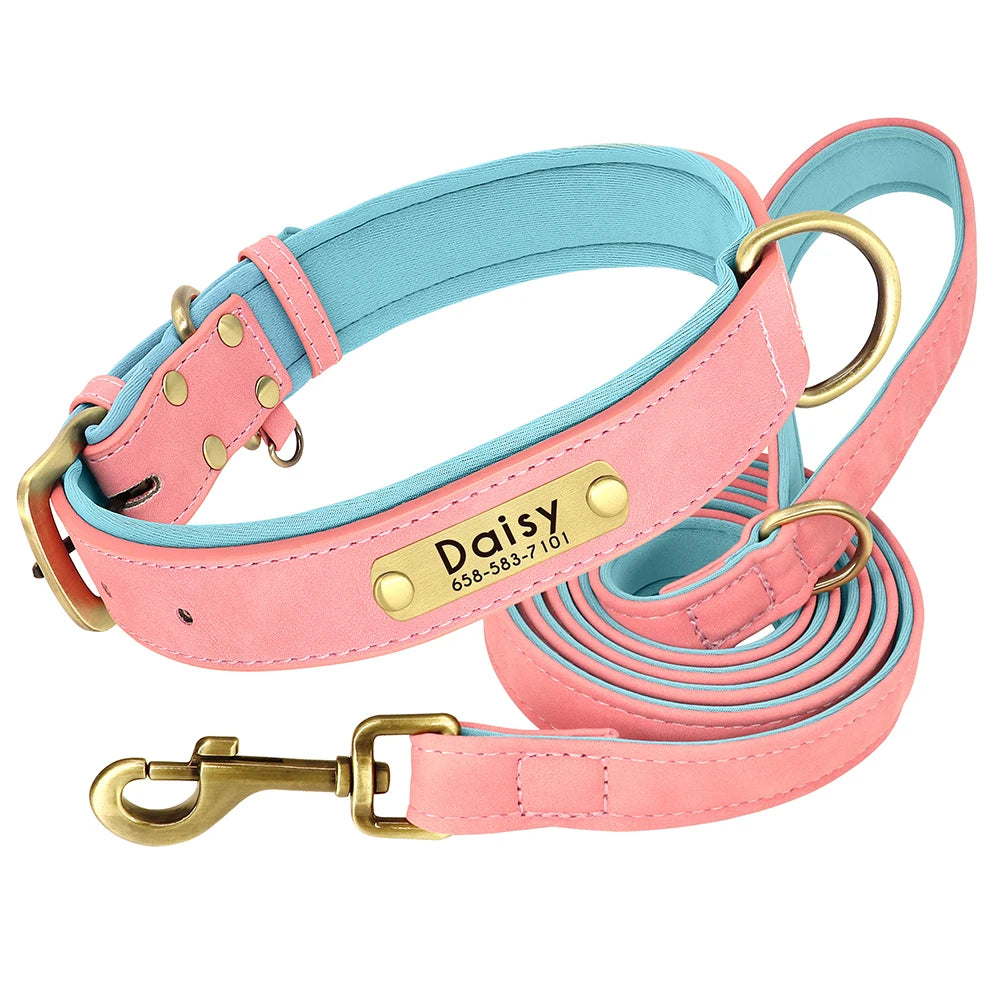 Personalized Dog Collar and Leash Set with Engraved Nameplate