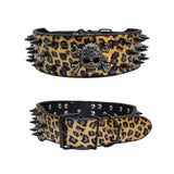Spiked Skull Dog Collar in Leather for Medium and Large Dogs