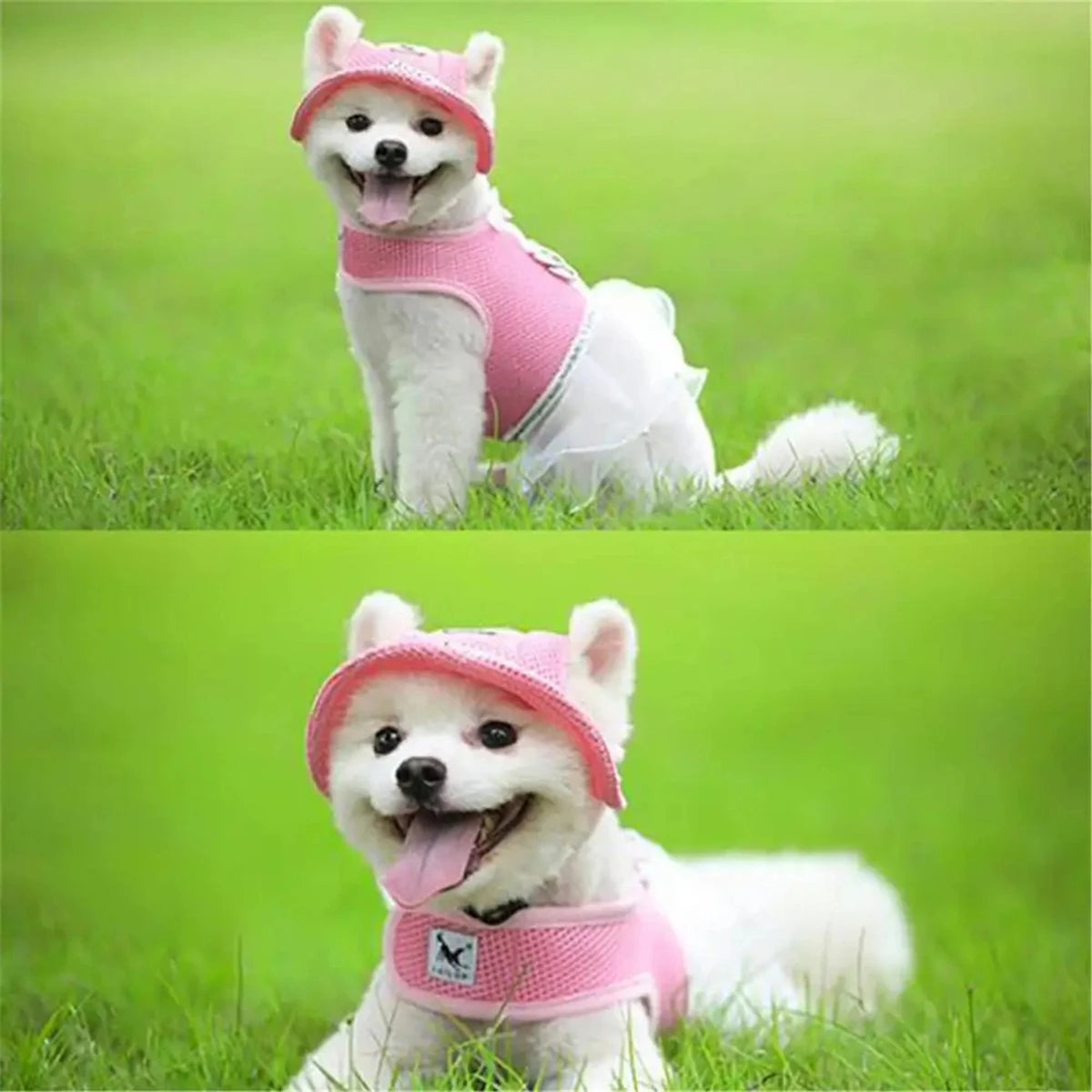 Dog Baseball Cap with Ear Holes, Breathable Mesh Visor Hat