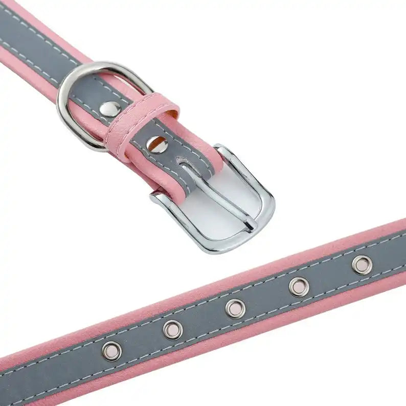 Personalized Dog Collar Gift for Dog Lovers, Engraved Name